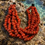 Multihilo de coral rojo · en su ambiente