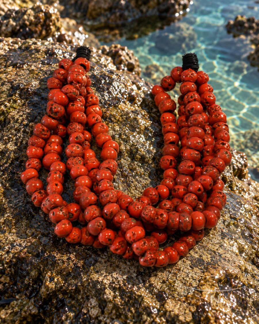 Multihilo de coral rojo · en su ambiente
