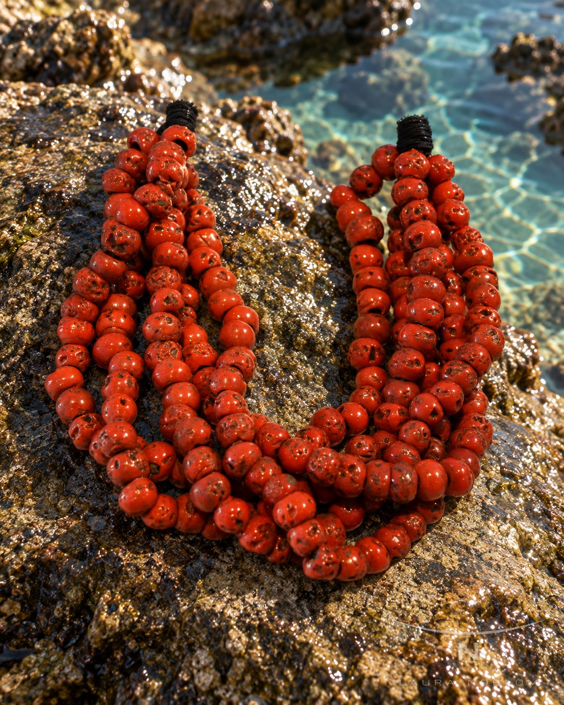 Multihilo de coral rojo · en su ambiente