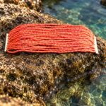 Multihilo de coral rosa · en su ambiente