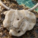 Coral blanco · en su ambiente
