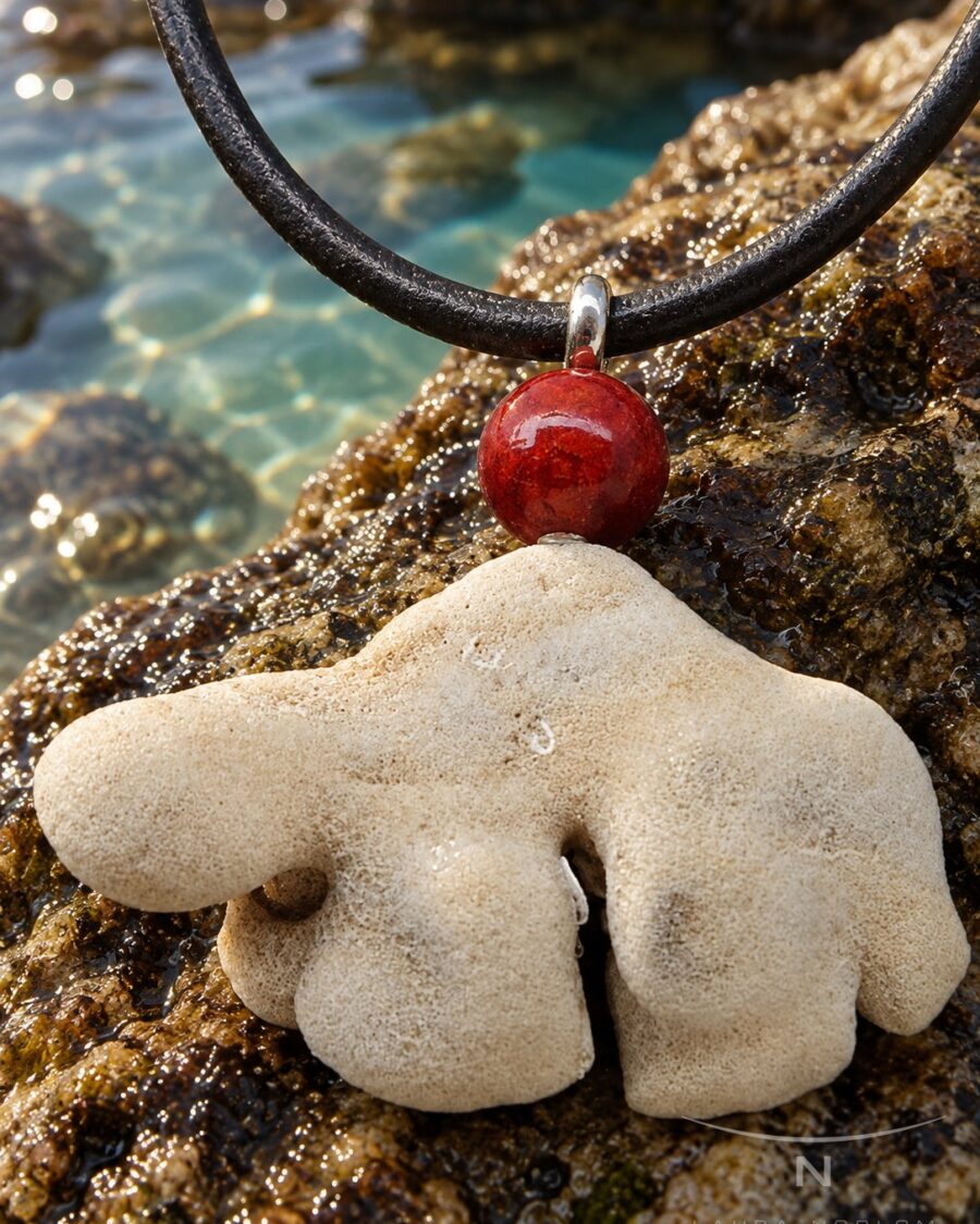 Cuero con coral blanco · en su ambiente