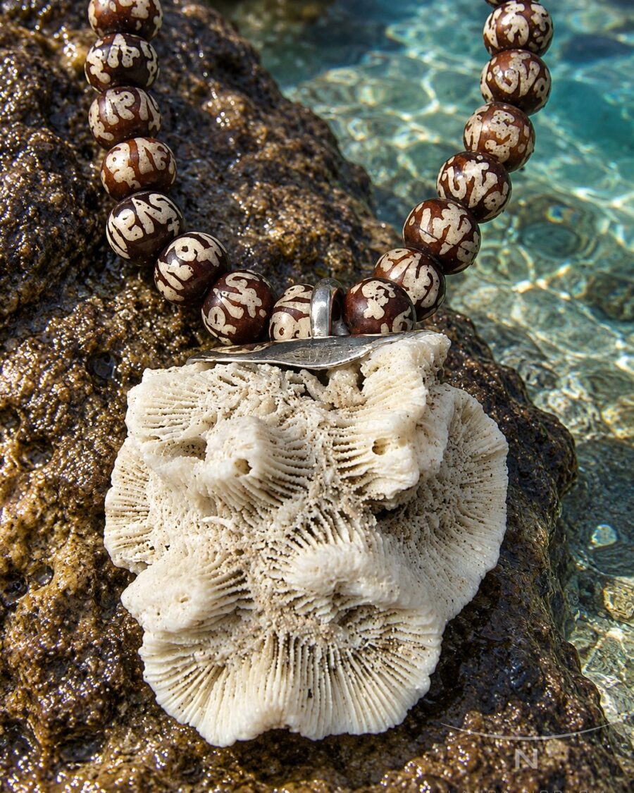 Cuentas de hueso con coral blanco grande · en su ambiente