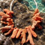Aro de plata con coral naranja · en su ambiente